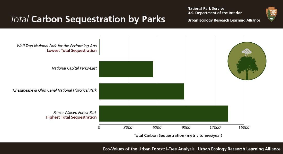 Total Carbon Sequestration by Parks. Prince William has the highest (13,300 metric tonnes/year) followed by Chesapeake and NCA East. Wolf Trap has the lowest (46 metric tonnes/year).