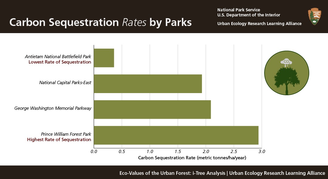 Carbon Sequestration Rates by Parks. Prince William has the highest rate (3 metric tonnes/ha/year) followed by George Washington and NCA-East. Antietam has the lowest (0.3 metric tonnes/ha/year).
