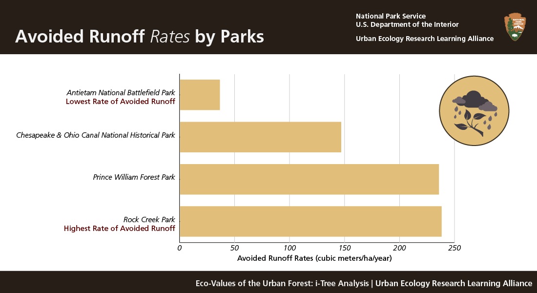 Avoided Runoff Rates by Parks. Rock Creek and Prince William have the highest rates (240 cubic meters/ha/year) followed by Chesapeake. Antietam has the lowest (36 cubic meters/ha/year).