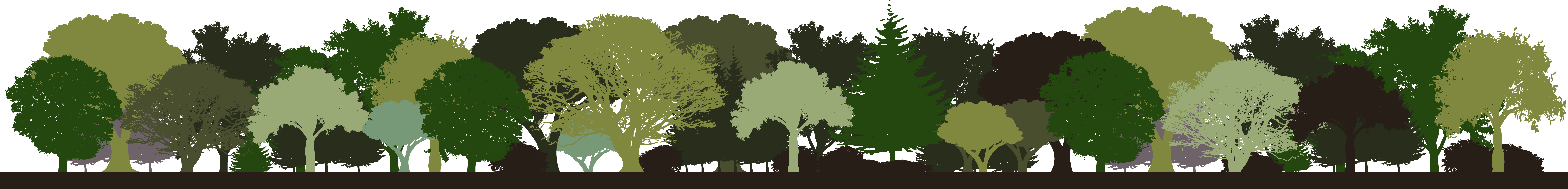 Footer: silhouette of a forest in many layered greens