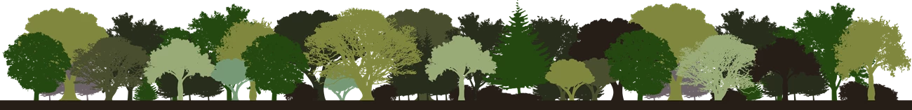 NPS / UERLA Graphic Footer: silhouette of a forest in many layered greens