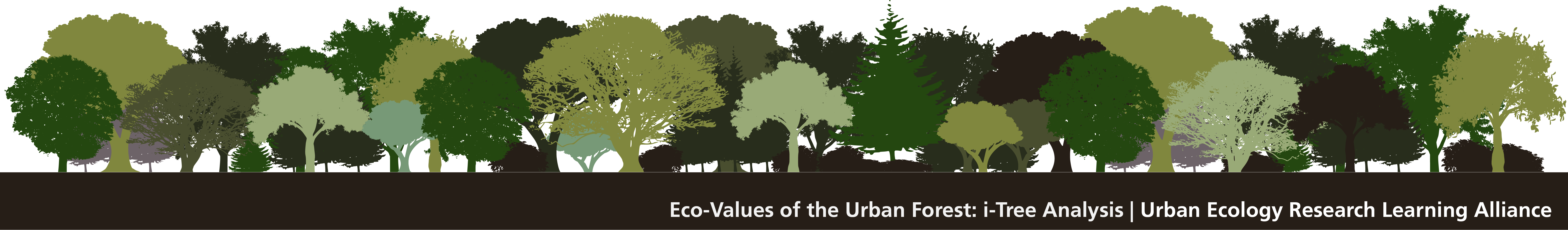 Eco-Values of the Urban Forest: i-Tree Analysis