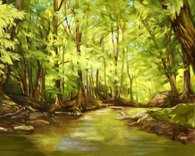 Stream in the Prince William Forest Park during summer surrounded by trees