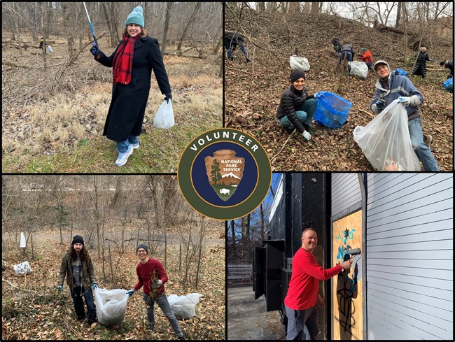 Volunteers remvoing invasive plants and painting