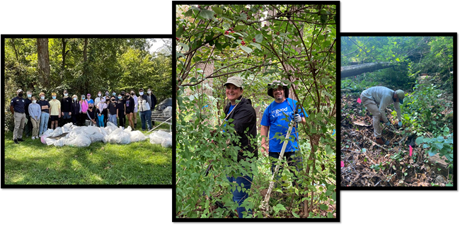 Volunteer_collage