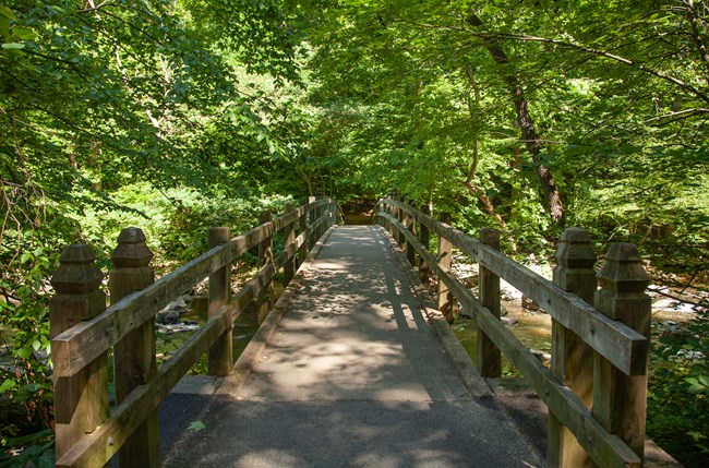 Bridge over creek with greenery