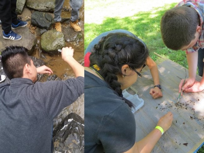 Students conducting field experiments