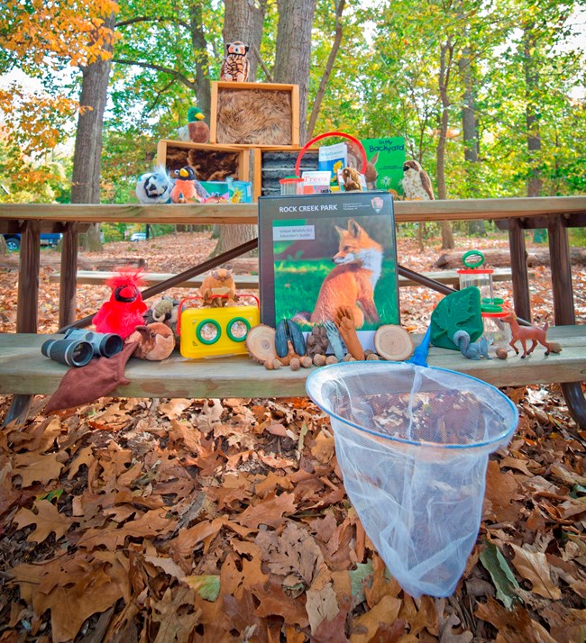 Urban Wildlife Kit KEEP The Urban Wildlife kit unpacked on a picnic table
