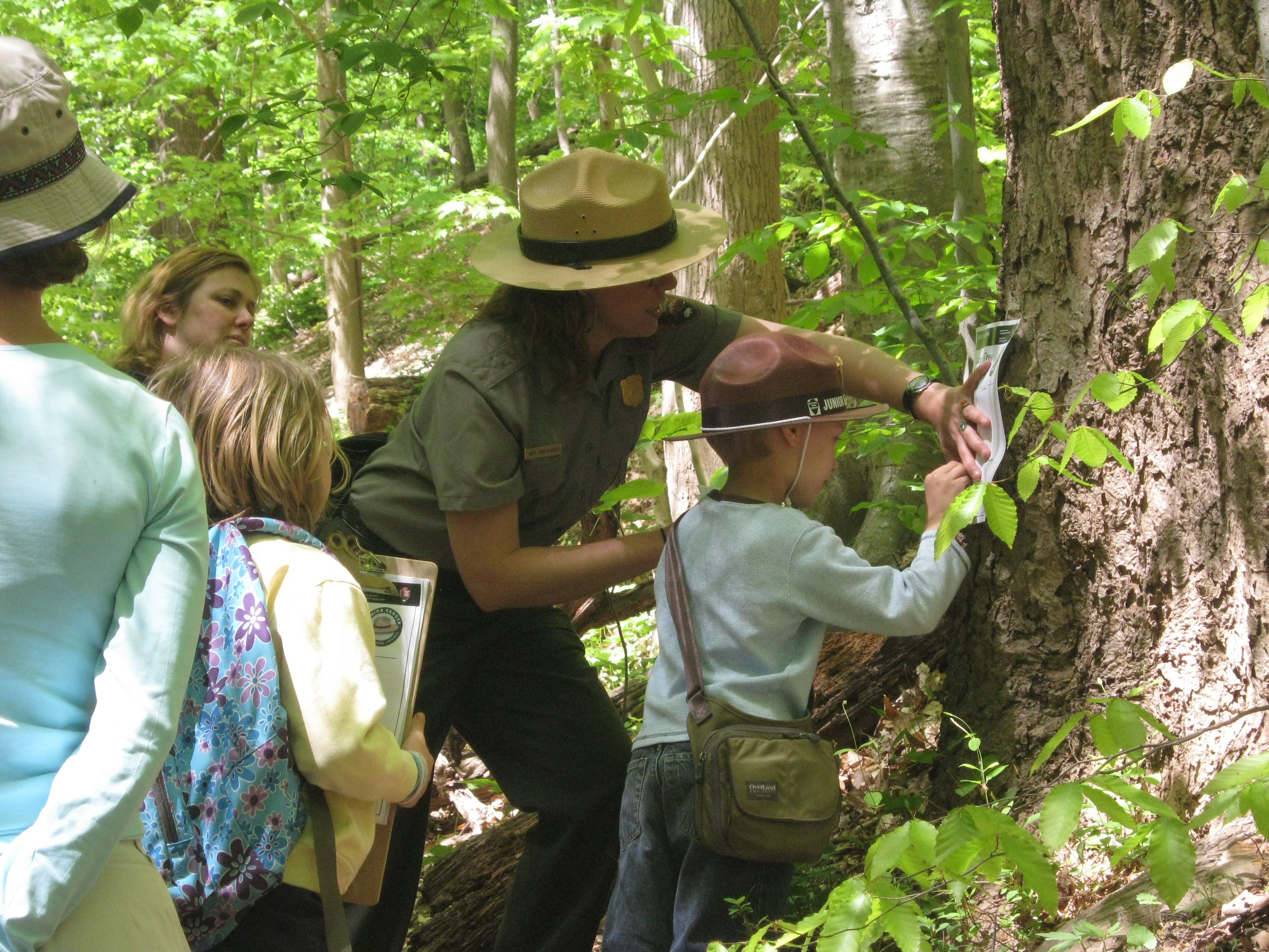 A park ranger helps a young student with a worksheet in the trees