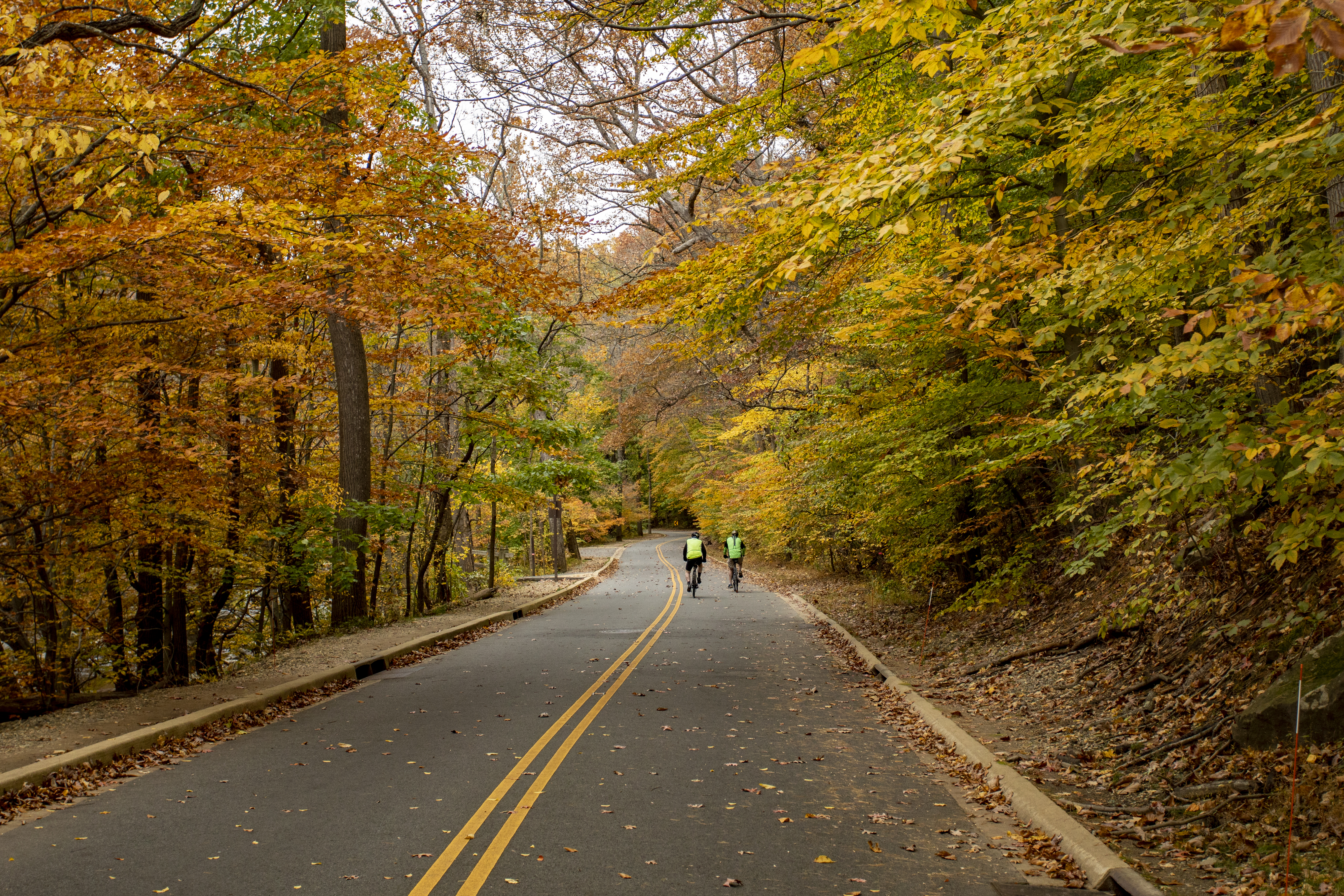 Two bicyclists on Beach Drive during the fall.