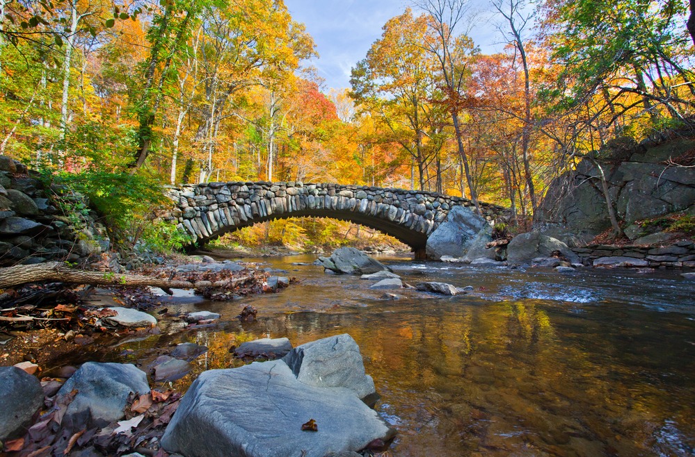 Stone arch bridge crossing a creek surrounded by colorful, vibrant fall trees in Rock Creek Park.