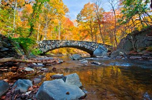Stone arch bridge crossing a creek surrounded by colorful, vibrant fall trees in Rock Creek Park.