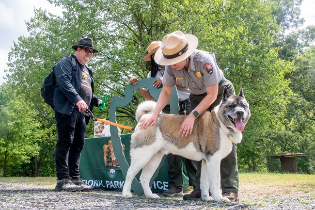 A dog on leash being petted by a park ranger in front of a booth.