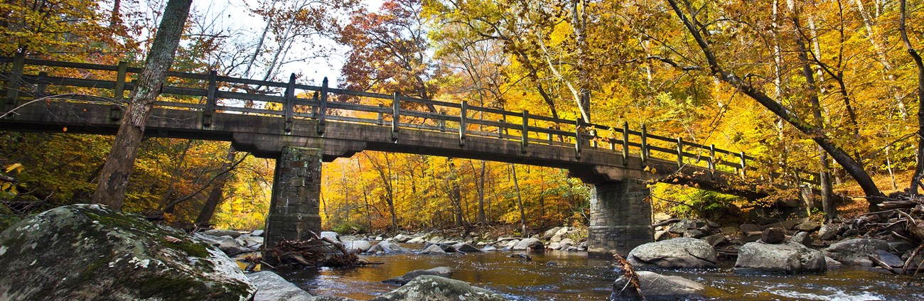 Rock Creek Park Bridge in the fall