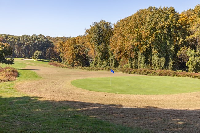 A blue flag on a pole stands alone on a golf green, with a stand of autumnal trees forming a wall behind the fairway approaching the green.