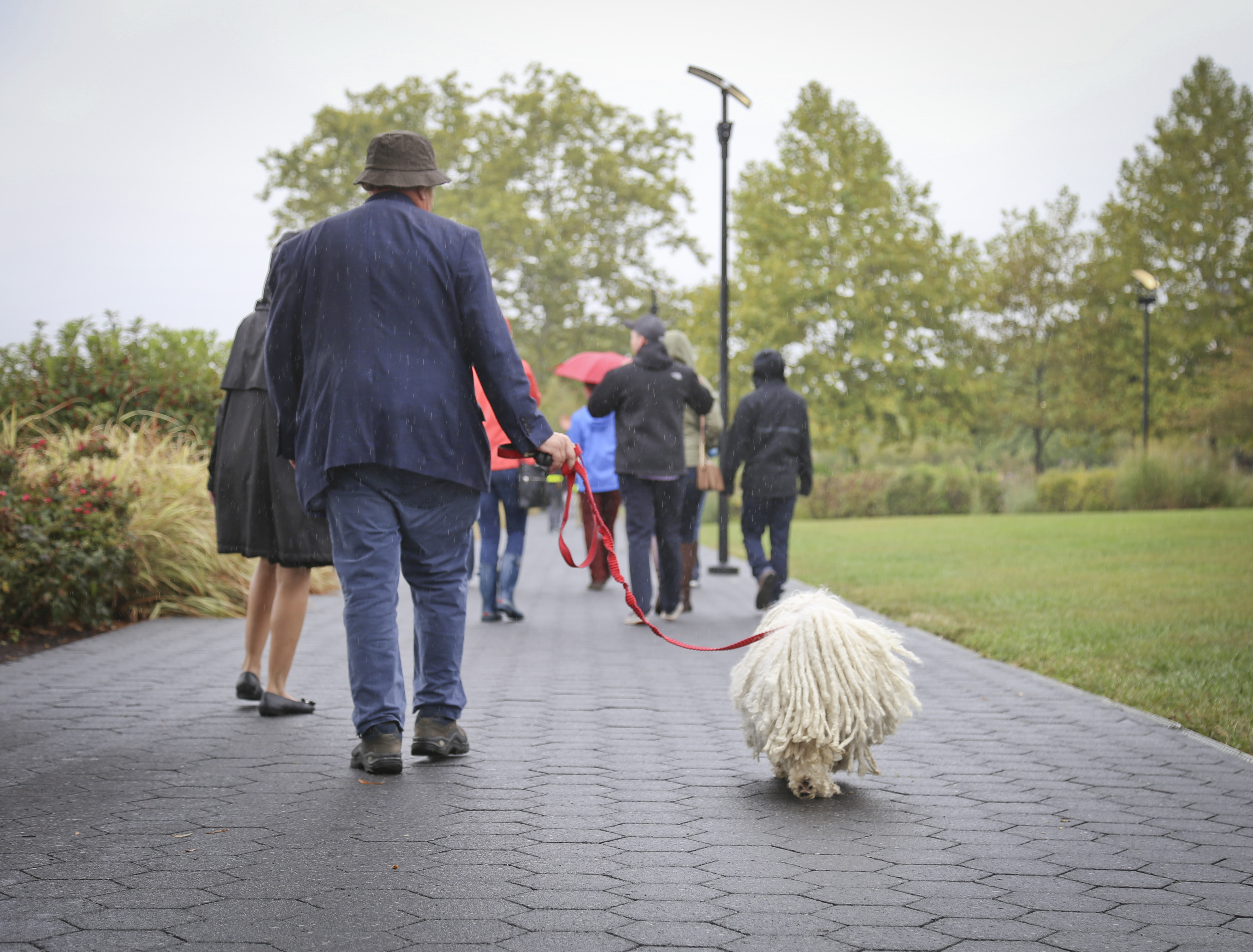 Is Walking A Dog Without Leash Illegal