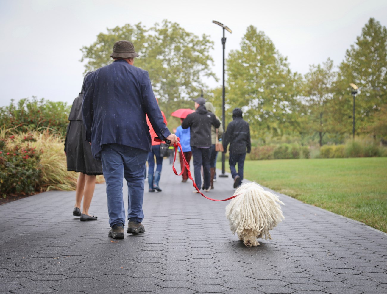 A man walks a dog in Georgetown Waterfront Park.