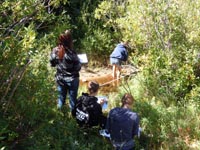 Students conduct research in the park