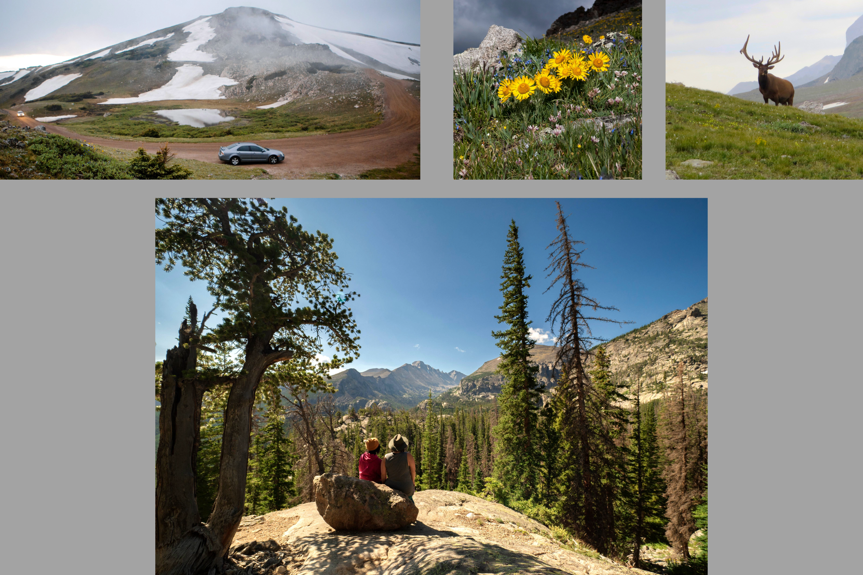 For images - vehicles driving on OFRR, Hikers looking in the distance, elk on tundra, and wildflowers