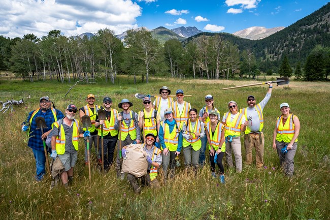 Volunteers are removing invasive species in a meadow in RMNP