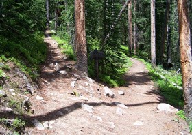 Fork in a trail