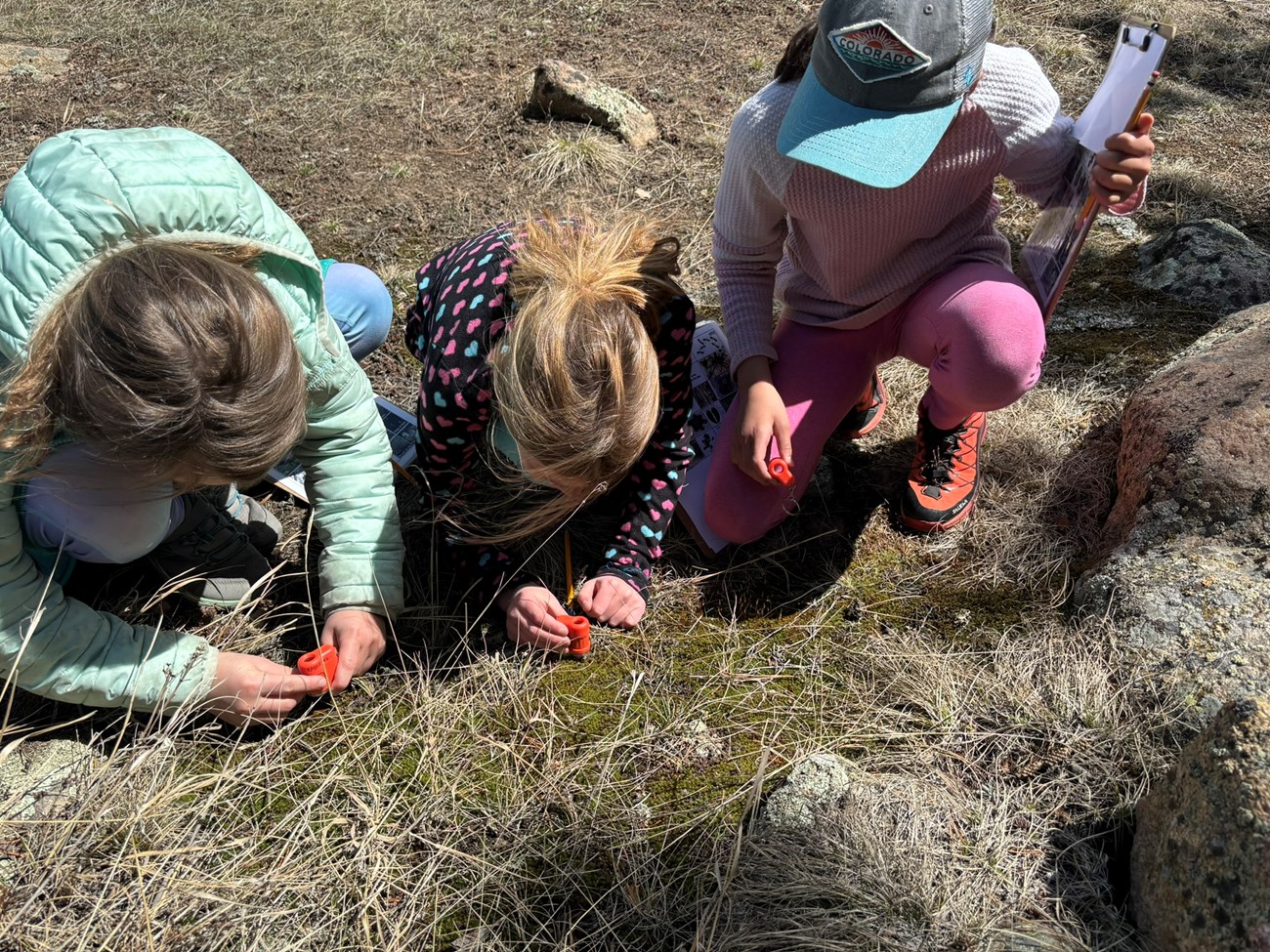 Ranger-led Field Trip - Nature Detectives