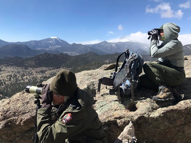 Raptor Monitoring Staff