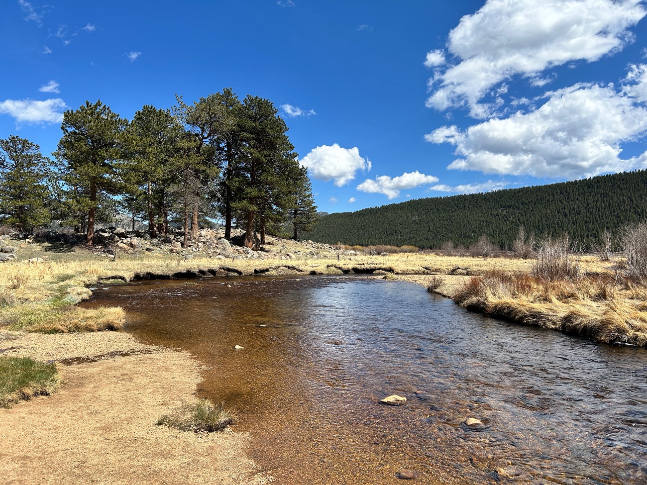 River flowing in Moraine Park in May