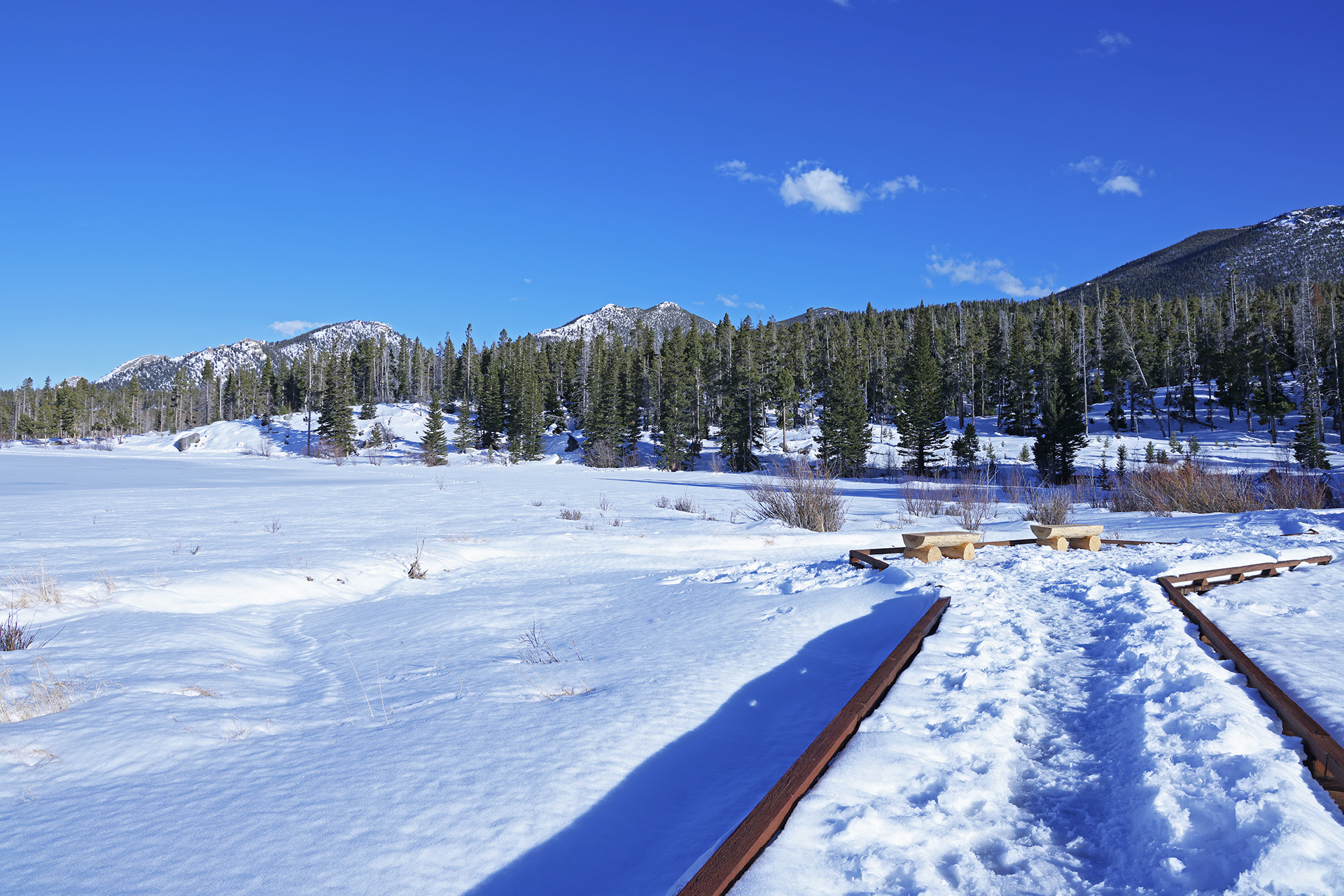 Sprague Lake Boardwalk in winter. The lake and surface of the boardwalk are covered with snow. The sky is clear and blue overhead.