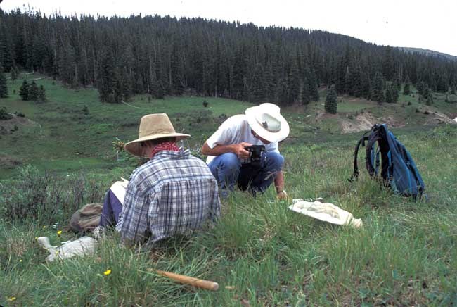 a photo of butterfly researchers