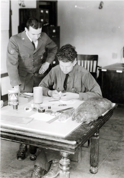a photo of a CCC enrollee at work