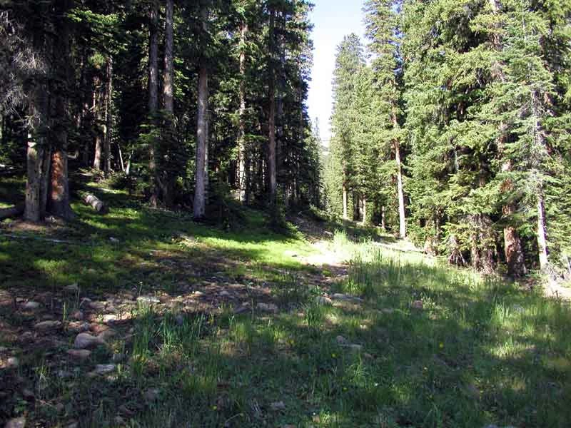 a photo of Hidden Valley