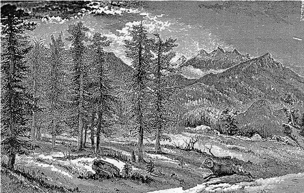 a sketch of Estes Valley by Bierstadt