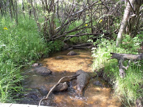 a photo of Beaver Brook