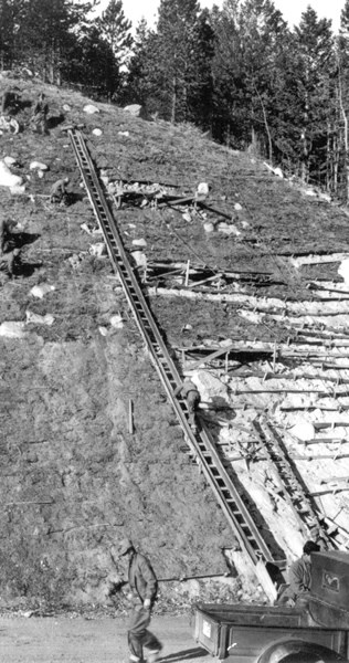 an historic photo of slope revegetation