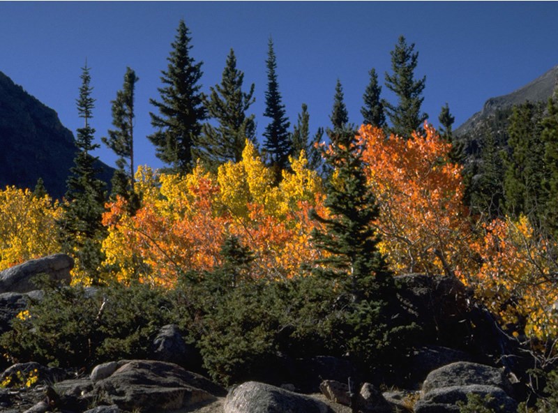 a photo of changing colors at Alberta Falls