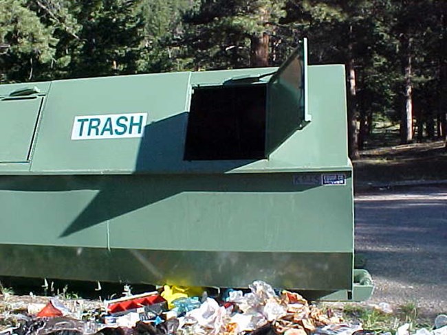 a photo of a dumpster which a bear has destroyed