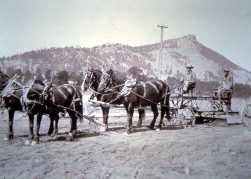 a vintage photo of horses grading roads