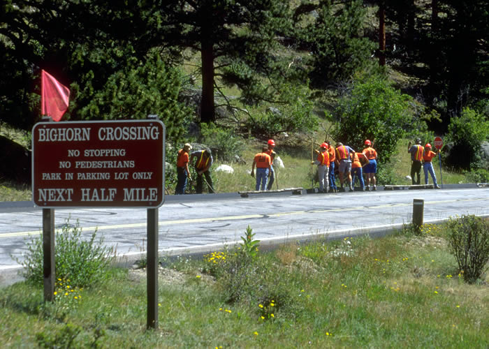 a photo of maintenance workers as human would see them