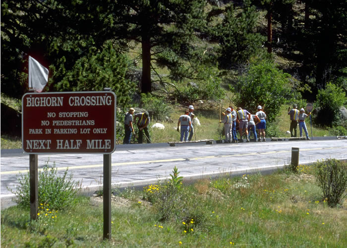 a photo of workers in the park as a deer would see  it