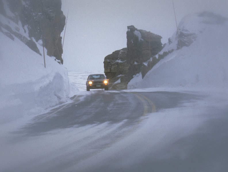 a photo of Trail Ridge Road in winter