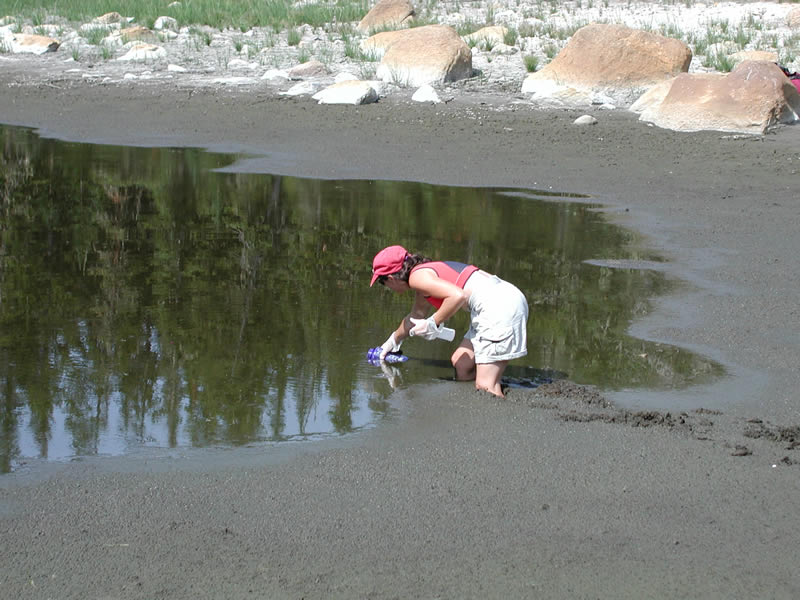 a photo of a toad researcher