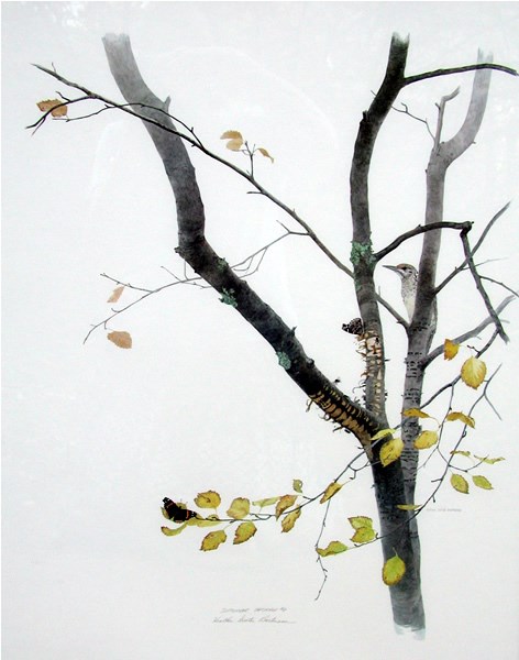 a painting of a sapsucker