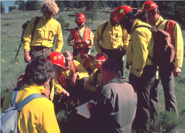 a photo of a group searchers