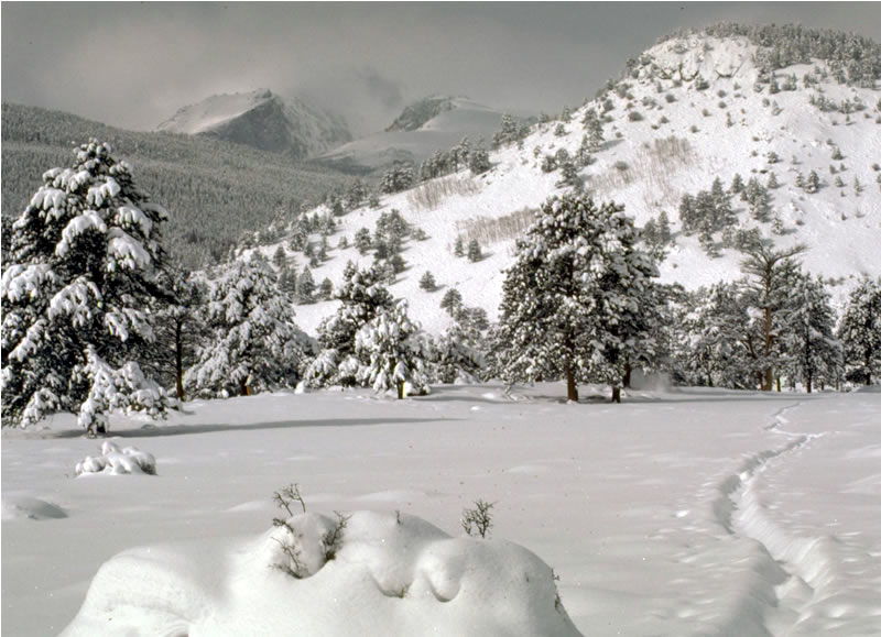 Snow Rocky Mountain National Park (U.S. National Park Service)