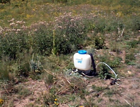 a photo of a small herbicide sprayer