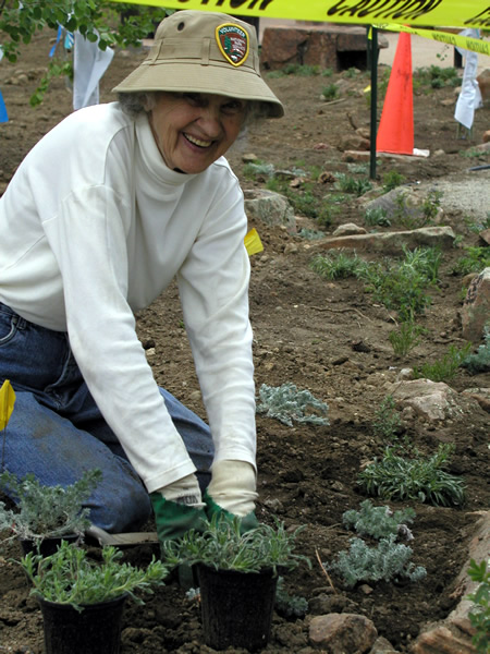a photo of a revegetation volunteer