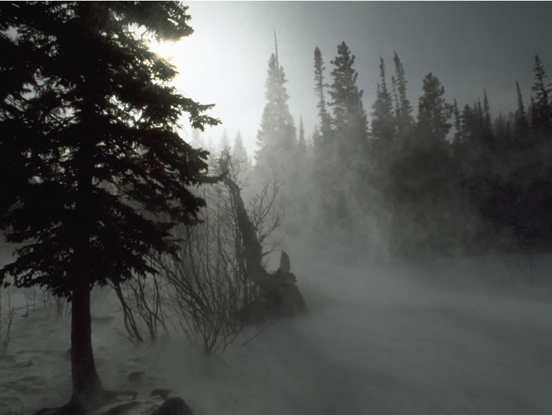 a photo of wind-whipped snow
