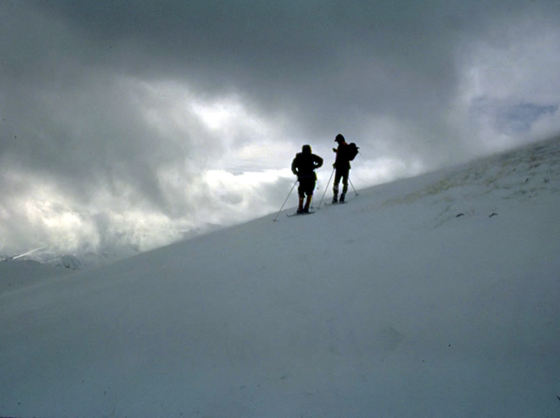 a photo of cross-country skiers