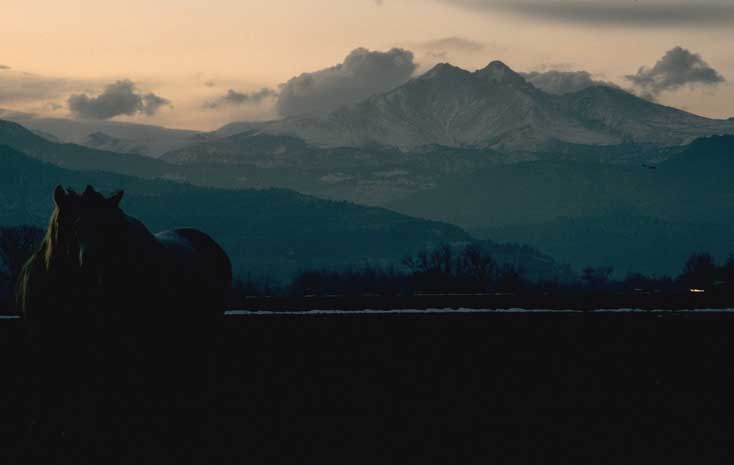 a photo of Longs from the prairie